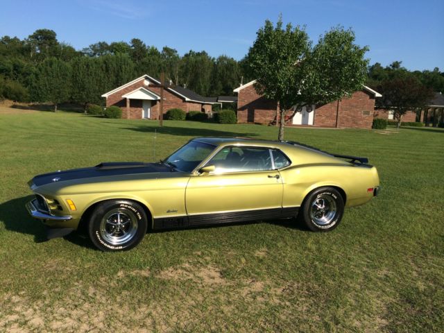 1970 MEDIUM LIME METALLIC PAINT Ford Mustang FASTBACK