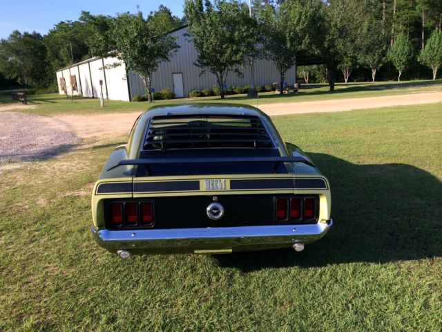 1970 MEDIUM LIME METALLIC PAINT Ford Mustang FASTBACK