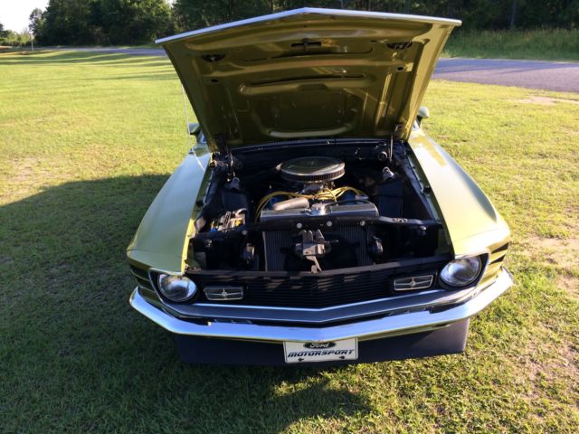 1970 MEDIUM LIME METALLIC PAINT Ford Mustang FASTBACK