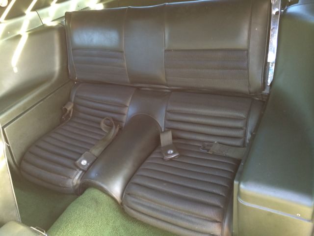 1970 MEDIUM LIME METALLIC PAINT Ford Mustang FASTBACK