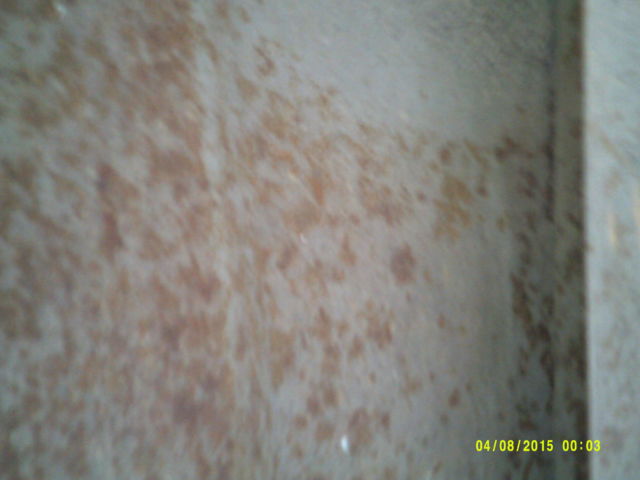 19700000 green GMC Other fleetside