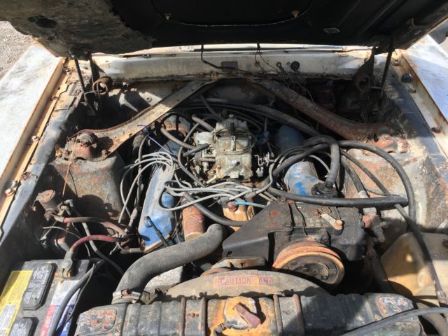 1970 White Ford Mustang Fastback