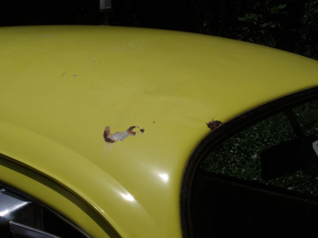 1970 Saturn Yellow Volkswagen Beetle - Classic