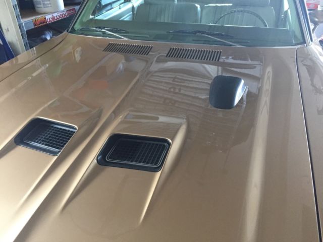 1970 Gold Buick Skylark