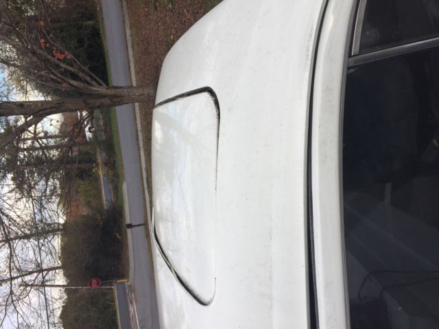 1970 White Volkswagen Beetle - Classic Coupe