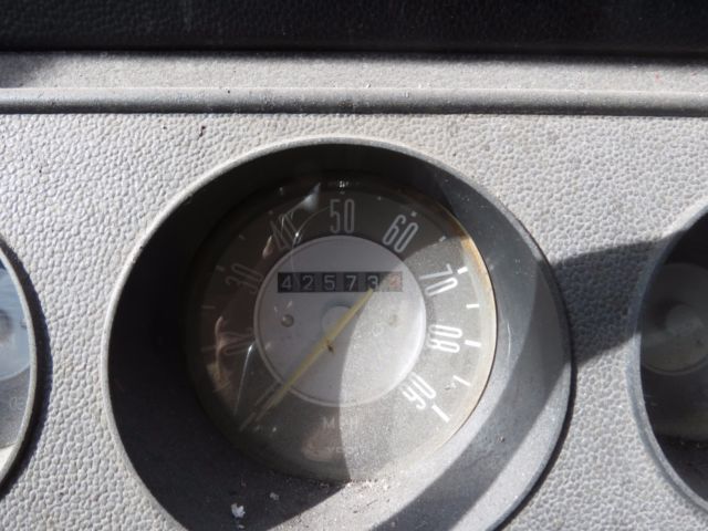 1970 Volkswagen Bus/Vanagon