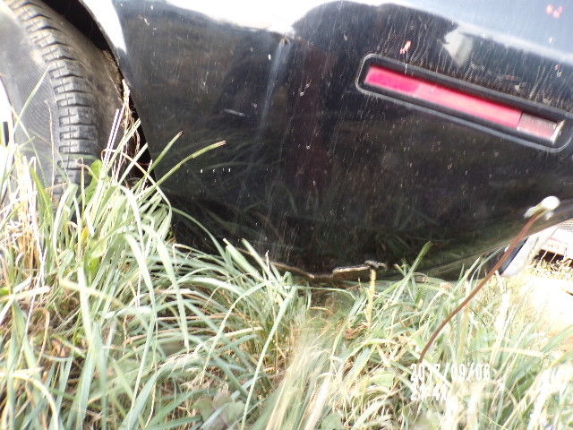 1970 Black Plymouth Barracuda Coupe