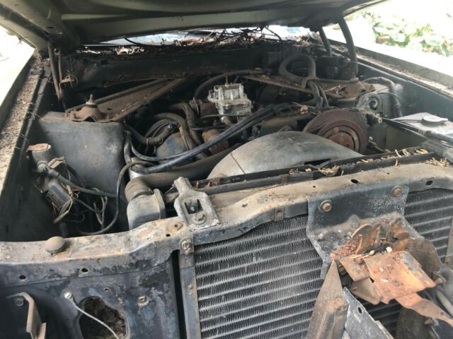 1971 Tan Ford Mustang