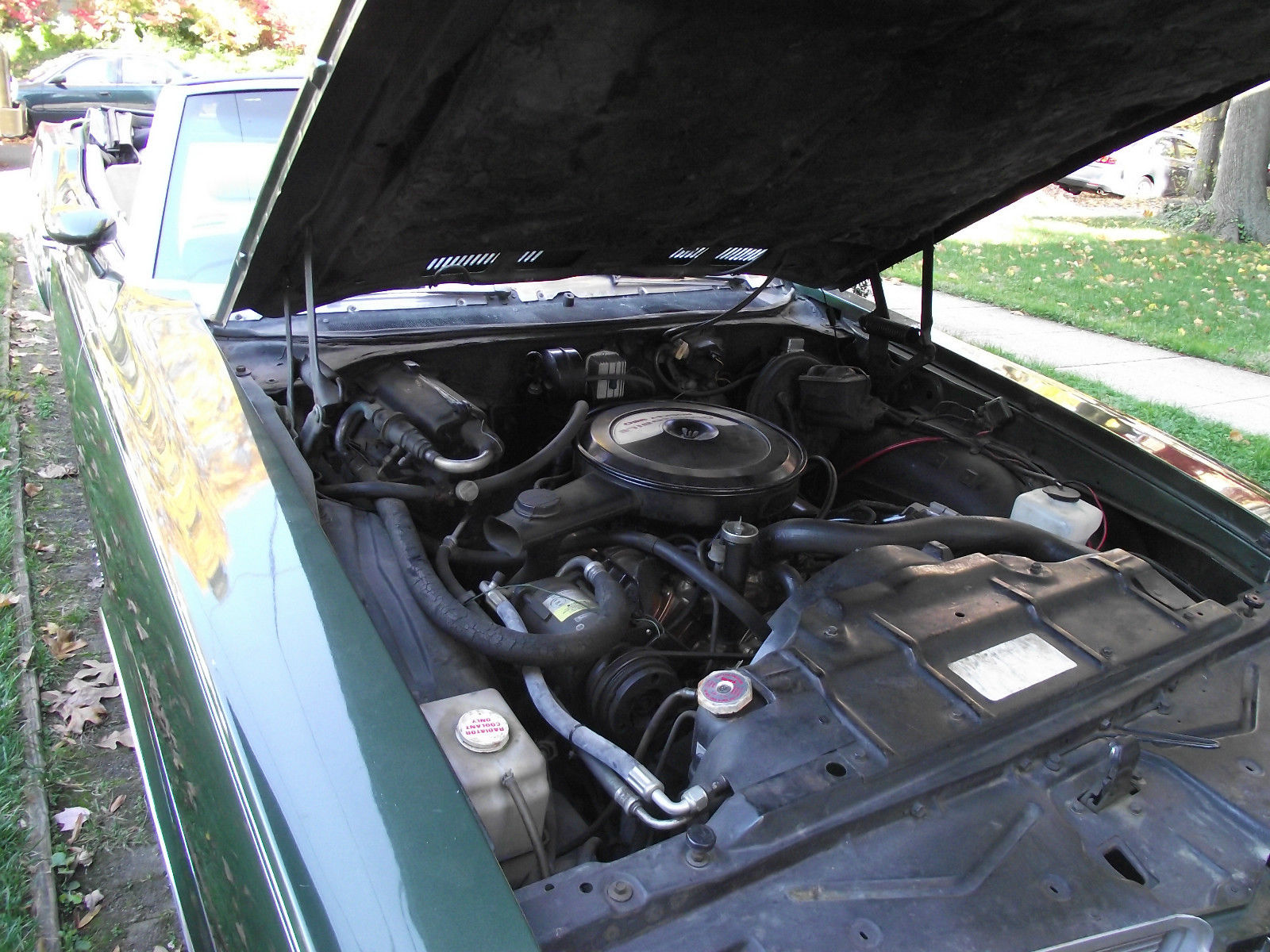 1971 Green Oldsmobile Cutlass U/K