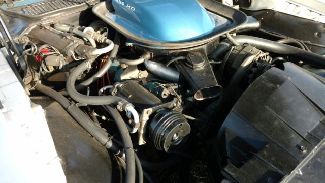 1971 Gotta have it green Pontiac GTO Coupe