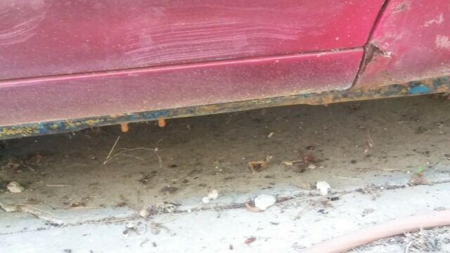 1971 Gold Chevrolet Chevelle