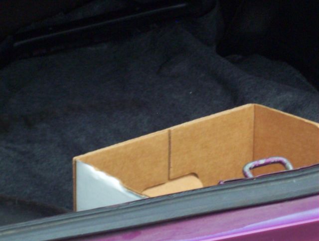 1972 Purple AMC Javelin Coupe