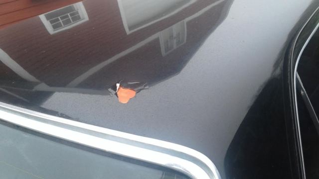 1972 Black Mercedes-Benz 200-Series