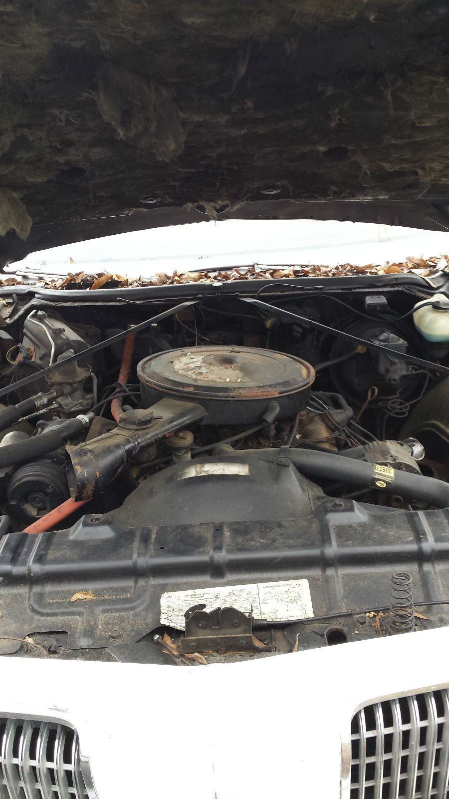 1972 White Oldsmobile Eighty-Eight Convertible