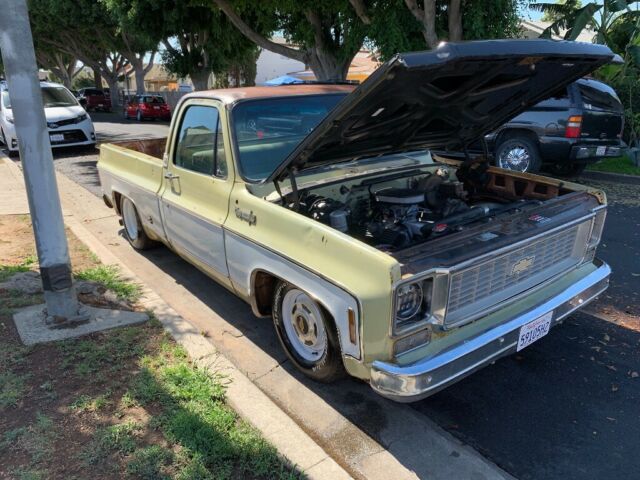 1973 Chevrolet C-10