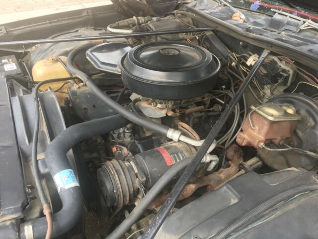 1973 Black Chevrolet Chevelle Coupe