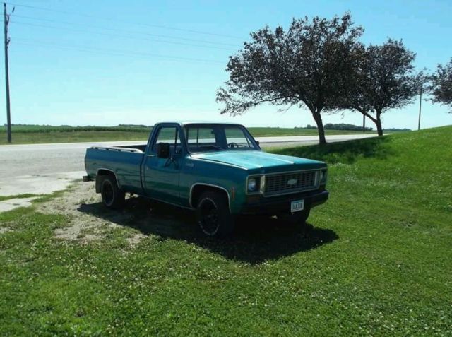 19730000 Green Chevrolet Other Pickups Cab & Chassis