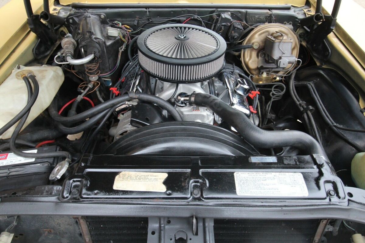 1973 Chamois Chevrolet Nova Coupe