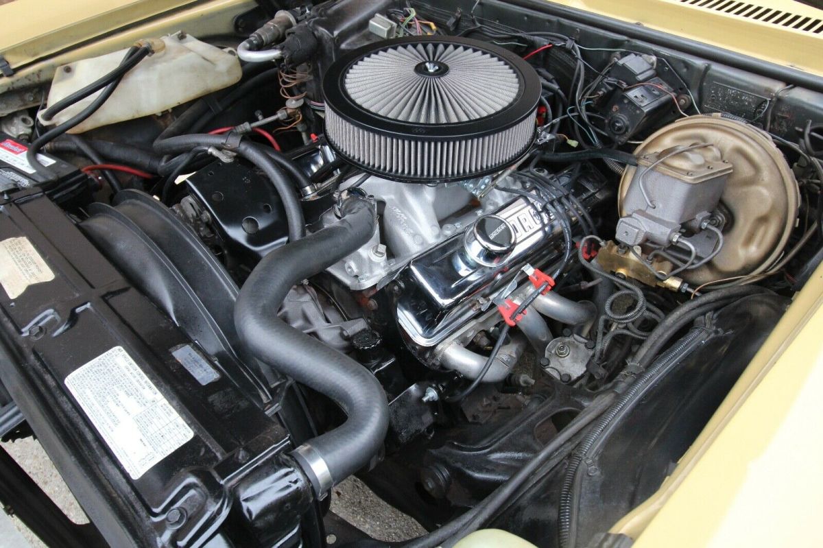 1973 Chamois Chevrolet Nova Coupe