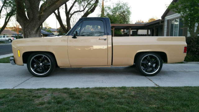 1973 Brown Chevrolet C-10 Standard Cab Pickup