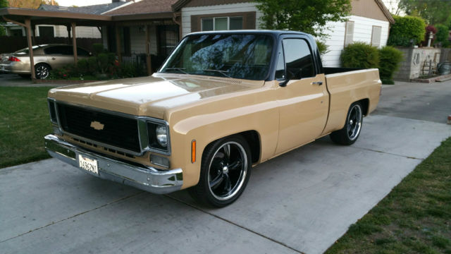 1973 Brown Chevrolet C-10 Standard Cab Pickup