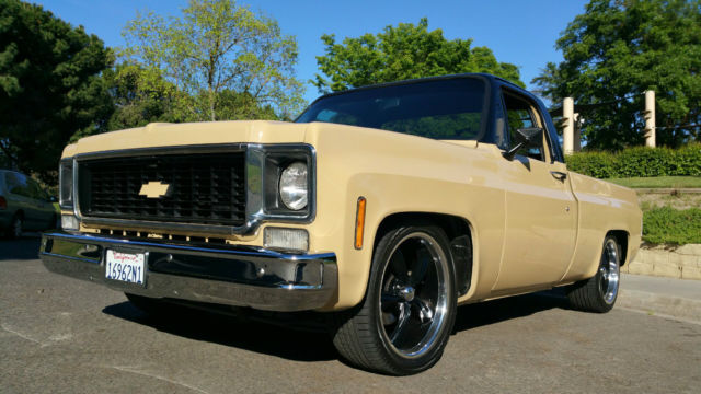 1973 Brown Chevrolet C-10 Standard Cab Pickup