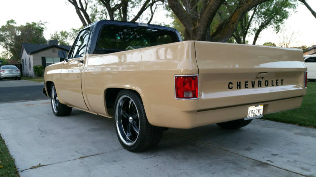 1973 Brown Chevrolet C-10 Standard Cab Pickup
