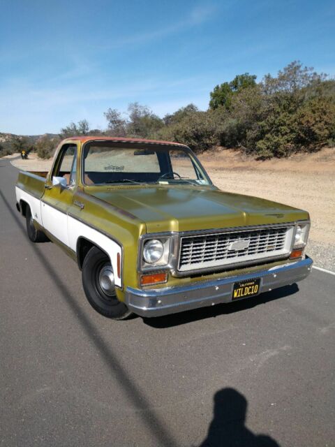 1973 Chevrolet C-10