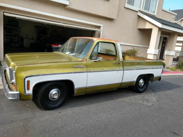 1973 Chevrolet C-10