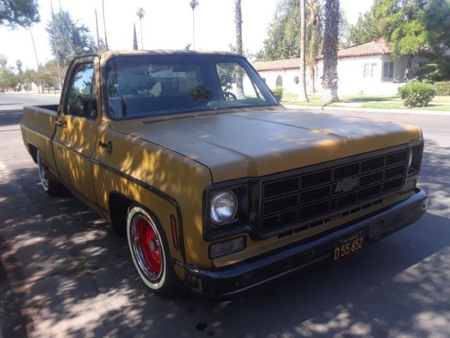 1973 Olive Brown Chevrolet C-10 Standard Cab Pickup