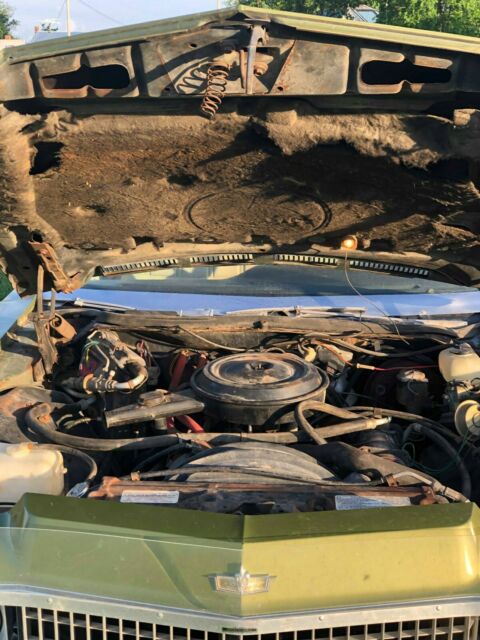 1973 Green Chevrolet Caprice