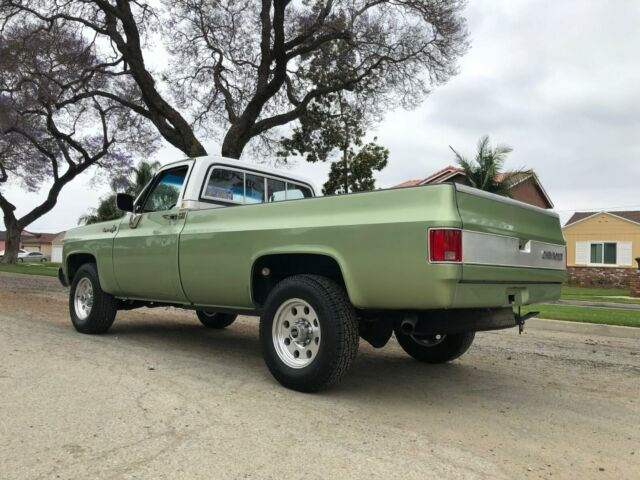 1973 Green Chevrolet Other Extended Cab Pickup