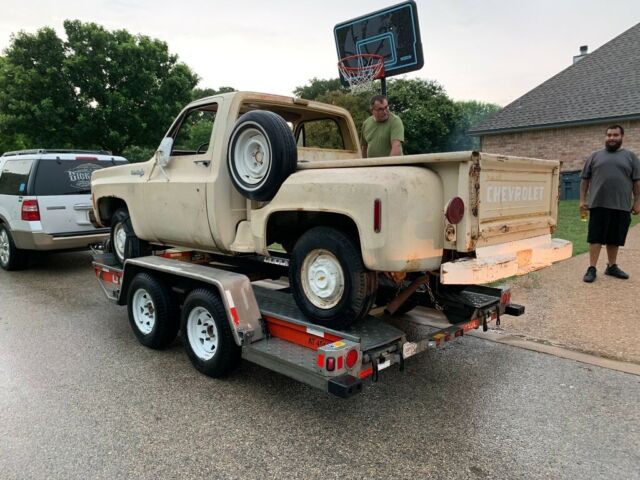 1973 Tan Chevrolet C-10 Cab & Chassis