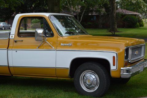 1973 Gold Chevrolet Other Pickups Standard Cab Pickup