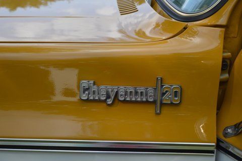 1973 Gold Chevrolet Other Pickups Standard Cab Pickup