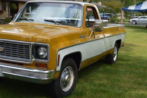 1973 Gold Chevrolet Other Pickups Standard Cab Pickup