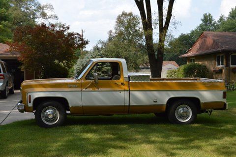 1973 Gold Chevrolet Other Pickups Standard Cab Pickup