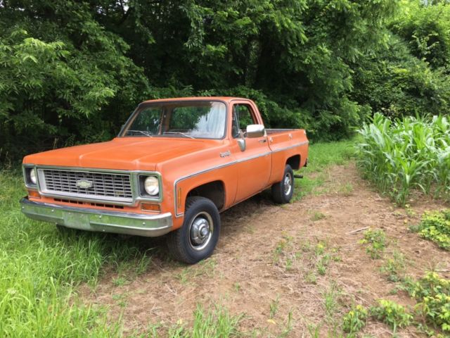 1973 Orange Chevrolet C/K Pickup 1500 Crew Cab Pickup