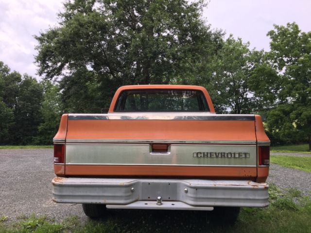 1973 Orange Chevrolet C/K Pickup 1500 Crew Cab Pickup