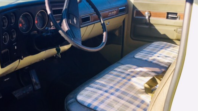 1973 Chevrolet Other Pickups