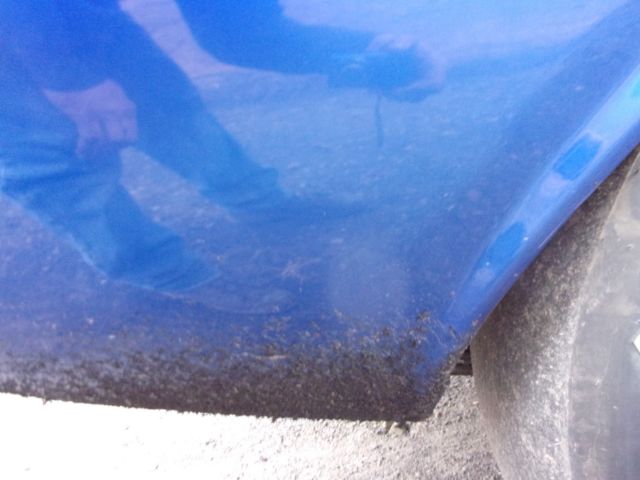 1973 Blue Dodge Challenger