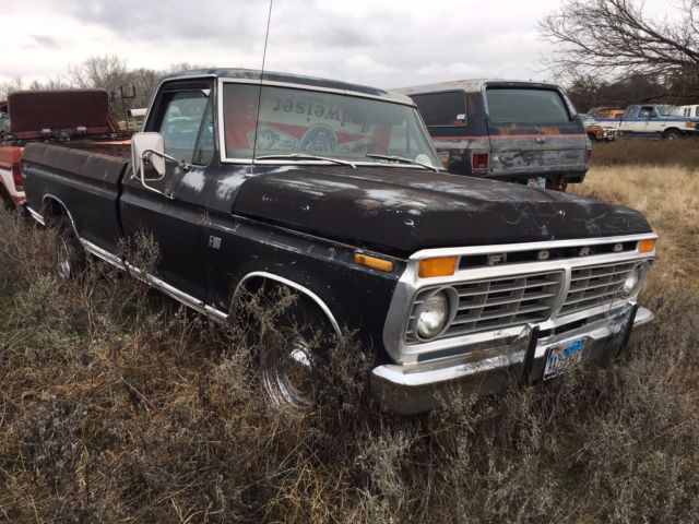 1973 Ford F-100