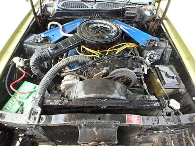 1973 Green Ford Other