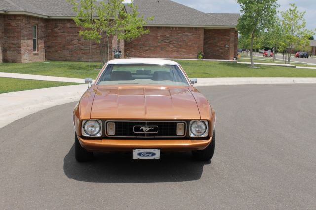 1973 Saddle Bronze (Code 5T) Ford Mustang Hardtop