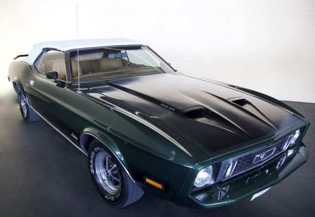 1973 Green Ford Mustang N/A