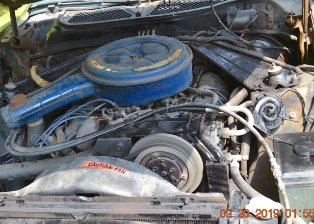 1973 GREEN GOLD Ford Mustang Fastback