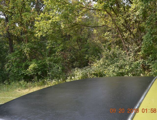 1973 GREEN GOLD Ford Mustang Fastback