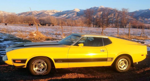1973 Ford Mustang