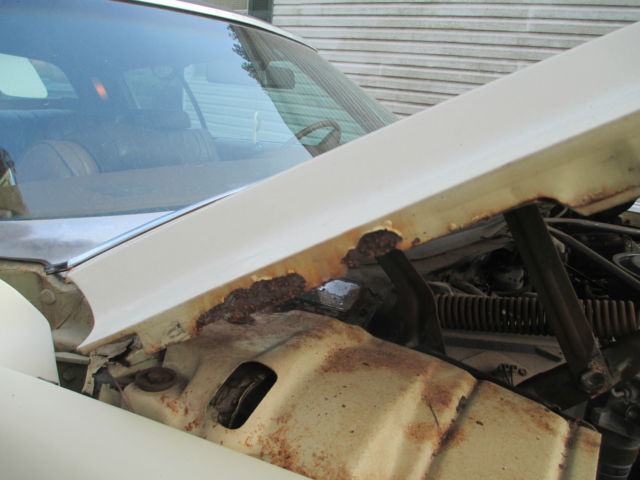 1973 Bamboo Cream,Chocolate Vinyl Top Buick Riviera Coupe