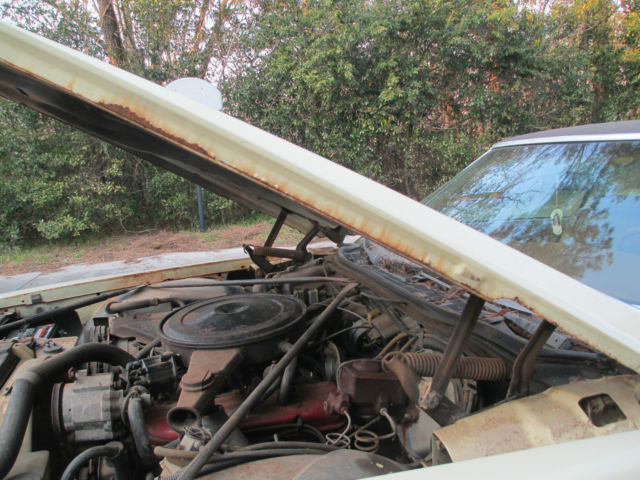 1973 Bamboo Cream,Chocolate Vinyl Top Buick Riviera Coupe